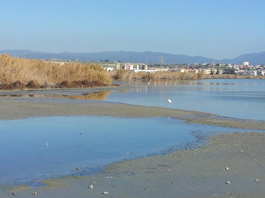 Appartamento Il Lilla Cagliari Pokoj fotografie